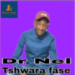 DR Nel – Tshwara Fase
