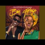 Sally Boss Madam – Big Things ft. Azmo Nawe