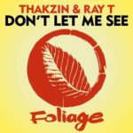 Thakzin – Don’t Let Me See ft Ray T
