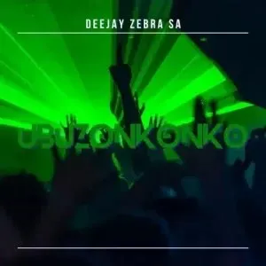 DEEJAY ZEBRA SA – MUSIC INTRODUCTION