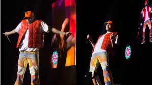 Chris Brown Dancing To Amapiano Songs Fakaza