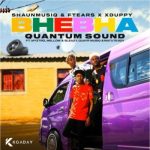 ShaunmusiQ, FTears & XDuppy – Bhebha (Quantum Sound) ft Mellow & Sleazy, Myztro, Quayr Musiq & Matute Boy