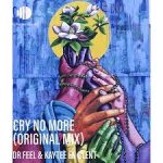 Dr Feel & KayTee En Glent – Cry No More Mp3 Download Fakaza