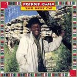 Freddie Gwala – Amadamara