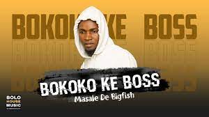 Masale De Bigfish – Bokoko Ke Boss Mp3 Download Fakaza