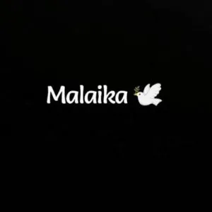 Malaika – Mhla ‘Uphel’ Amandla Mp3 Download Fakaza