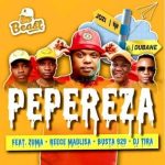 Mp4 Download Fakaza: VIDEO: Beast – Pepereza Ft. DJ Tira, Reece Madlisa, Zuma, Busta 929