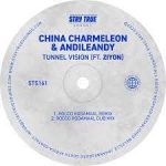 Mp3 Download Fakaza: China Charmeleon & AndileAndy – Tunnel Vision (Rocco Rodamaal Remix) ft. Ziyon