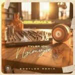Tyler ICU – Ngimoja (Goldmax Remix) Mp3 Download Fakaza