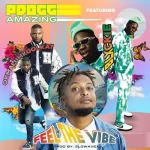 Mp3 Download Fakaza: Pdogg Amazing – Feel The Vibe ft Okmalumkoolkat, Blxckie