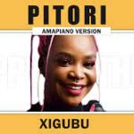 Pitori – Xigubu VIDEO Mp4 Download Fakaza