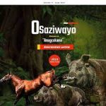 Osaziwayo- Angingene Lapho Mp3 Download Fakaza