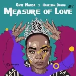 Mp3 Download Fakaza: Skye Wanda & Harrison Crump – Measure Of Love