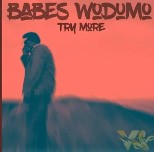 Try More – Babes Wodumo Mp3 Download Fakaza
