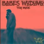 Try More – Babes Wodumo Mp3 Download Fakaza