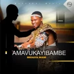 Amavukayibambe – Nqaba