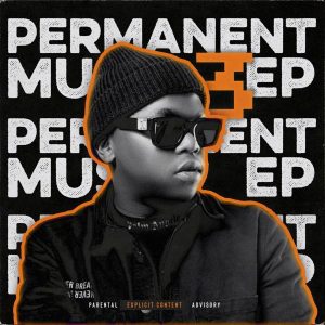 Dlala Thukzin Permanent Music 4 Ep 