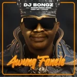 Dj Bongz - Awufanele