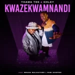 Thama Tee & Chley – Kwazekwamnadi (feat. Sbuda Maleather & Pabi Cooper)