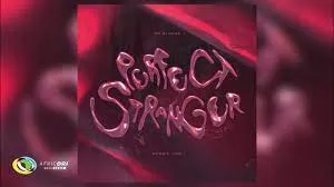 Mx Blouse and Boogie Vice – Perfect Stranger