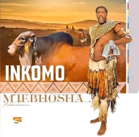 Inkomo – Mtebhosha