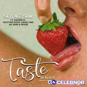 Skyface SDW – Taste (Tokoro) ft. O’Kenneth, Beeztrap Kotm, Kwaku DMC & Jay Bahd