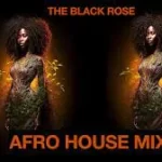 AFRO HOUSE HOUSE MIX – 17 FEB 2024