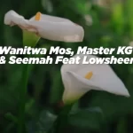 Wanitwa Mos “Thando (feat. Lowsheen)”