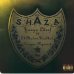 Yanga Chief “Shaza (feat. Okmalumkoolkat & Cassper Nyovest)”