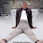 Menzi - Wawungekho EP