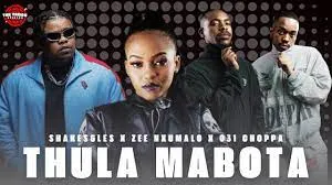 Shakes & Les X Zee Nxumalo X 031 Choppa – Thula mabota