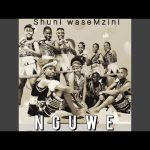 Shuni waseMzini – Nguwe