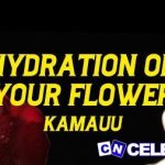 Garden (Lyrics) Hydration On Your Flower Blossom For Me