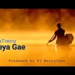 Harry Cane ft Master kg & Dj laTimmy - Keya Gae