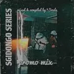 2souls (Ndibo Ndibs & Lowbass Djy) – Sgidongo Series Promo Mix
