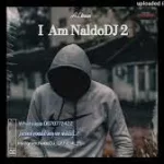 Djy School Boy & NaldoDJ – Forgotten (Sgidongo Mix)